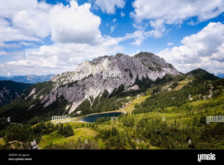 Pourquoi choisir le gîte "Bienvenue dans les Hauts" pour vos vacances 40 vue panoramique des hauts en ete
