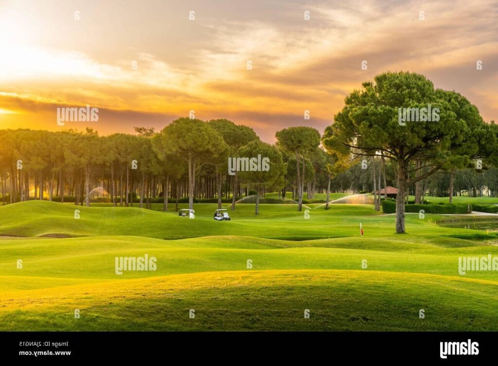 vue panoramique du parcours de golf