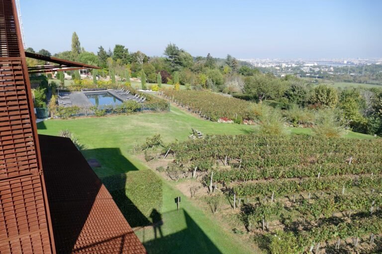 Que savoir sur Le Saint James à Bouliac, restaurant et hôtel de charme 6 vue panoramique du saint james bouliac