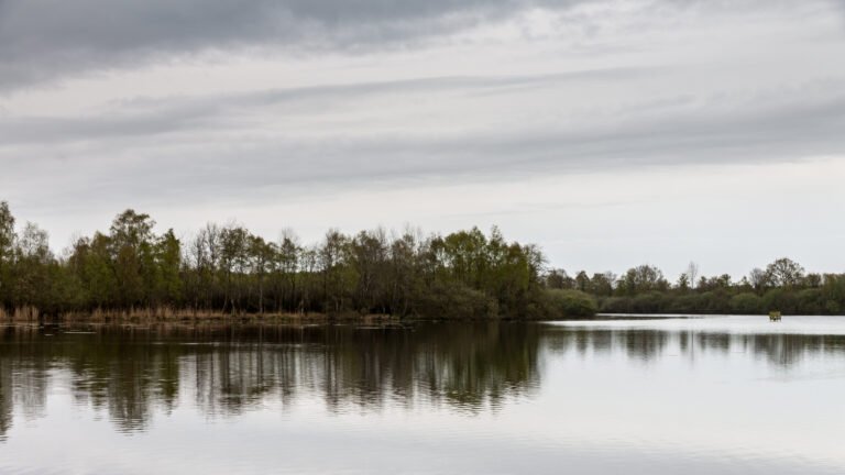 vue panoramique du teich et de liso